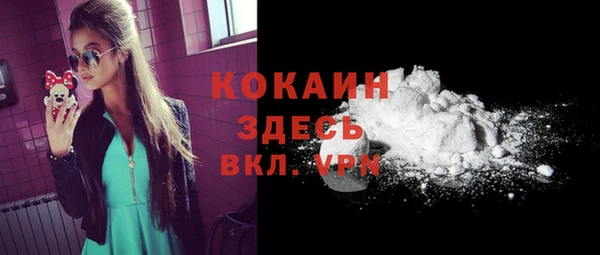 прущие грибы Абинск