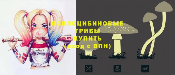 прущие грибы Абинск