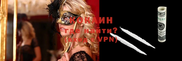 прущие грибы Абинск