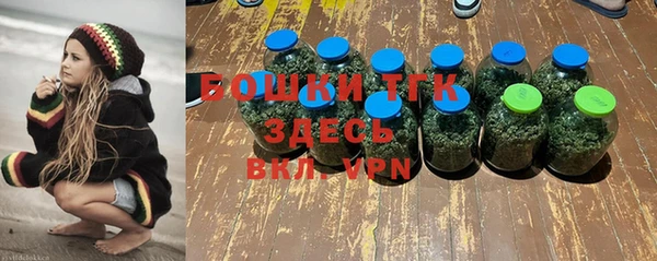 прущие грибы Абинск