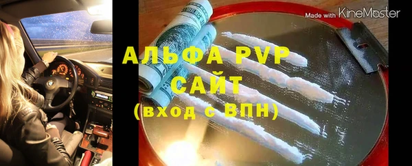 прущие грибы Абинск