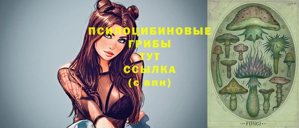 спайс Абаза
