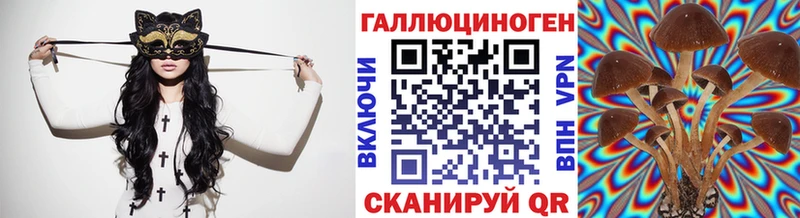 как найти наркотики  Алейск  Галлюциногенные грибы Magic Shrooms 