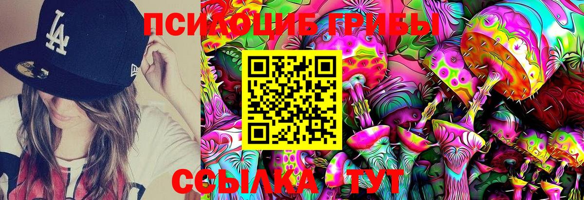 Псилоцибиновые грибы Psilocybe Алейск