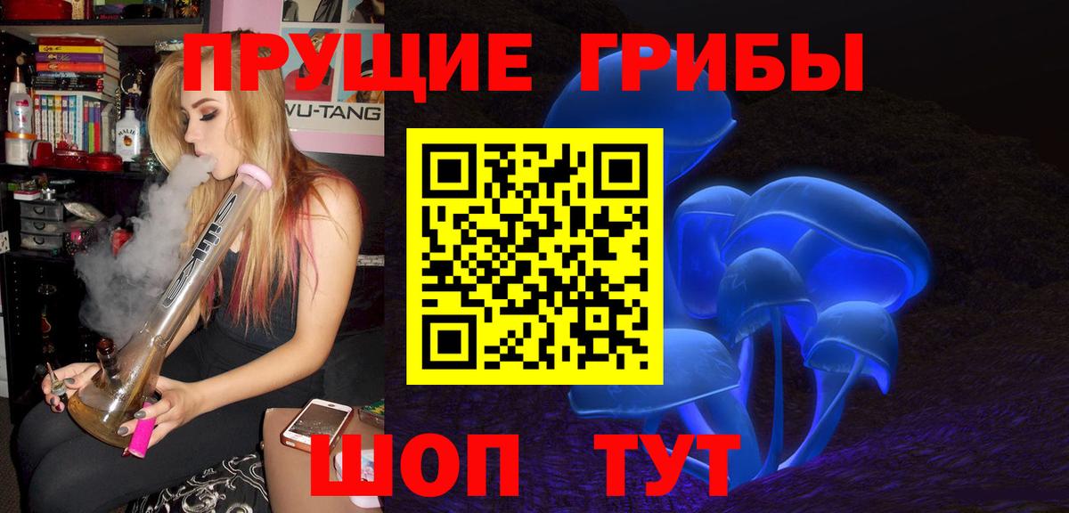 Галлюциногенные грибы мицелий  Вход с VPN  Алейск 