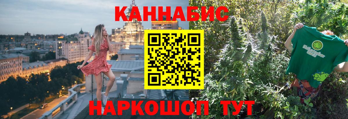 Псилоцибиновые грибы Алейск